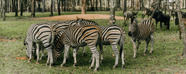 parc animalier en France