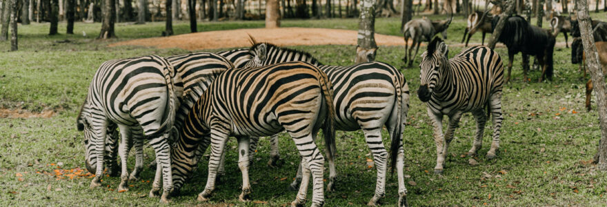 parc animalier en France